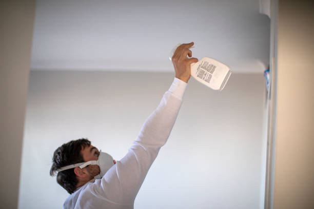 Best Preventive Mold Services in Blue Jay, OH