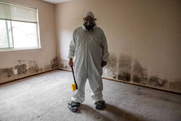 Professional Mold Remediation in Blue Jay, OH